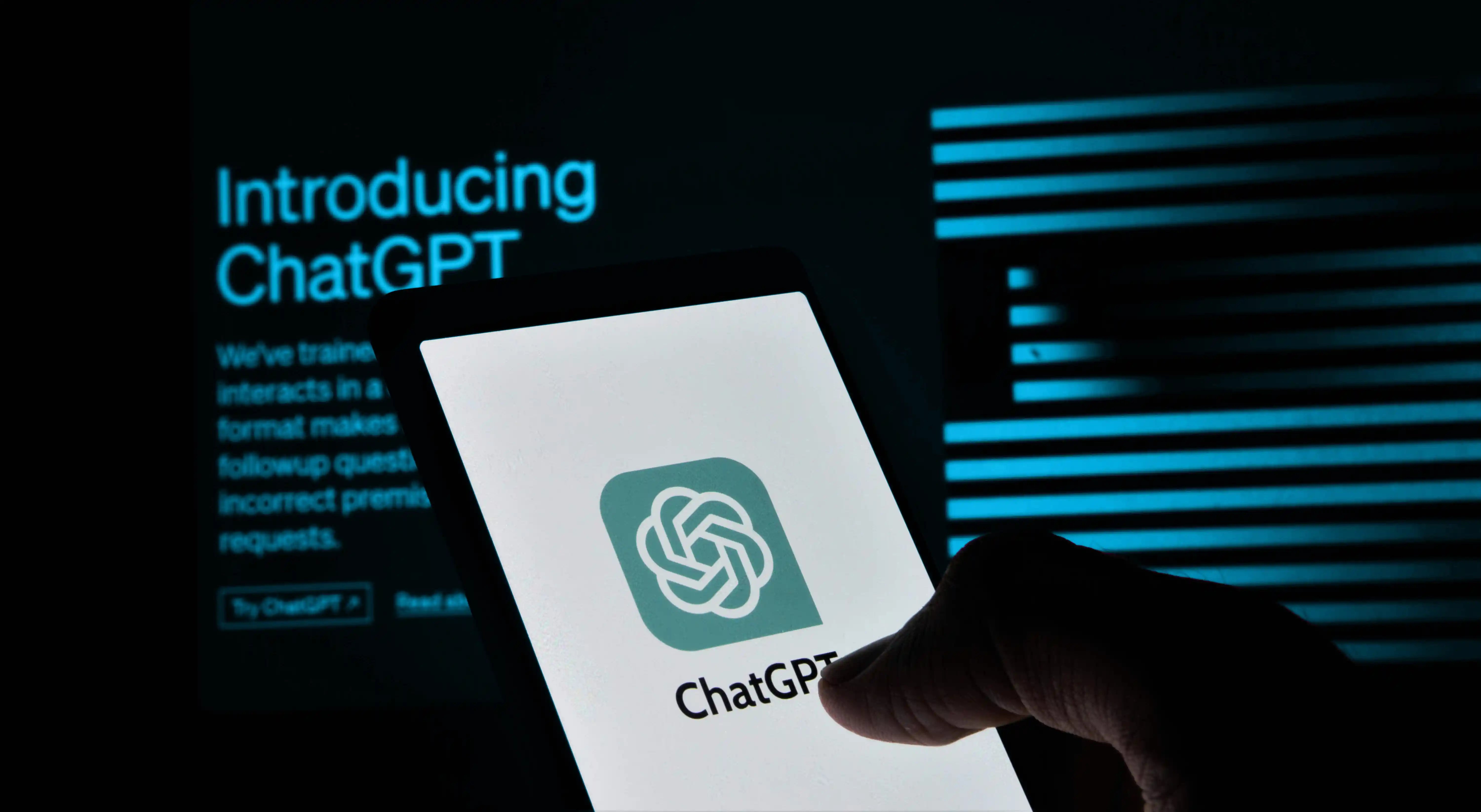 mojahid-mottakin-P3oBttW6Wt4-unsplash copy