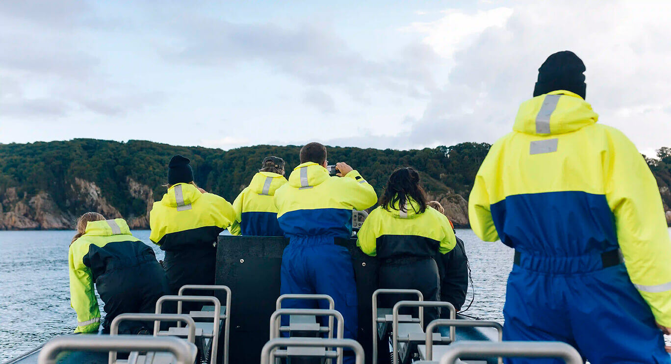 hybrid approach addresses the limitations of fuel cells