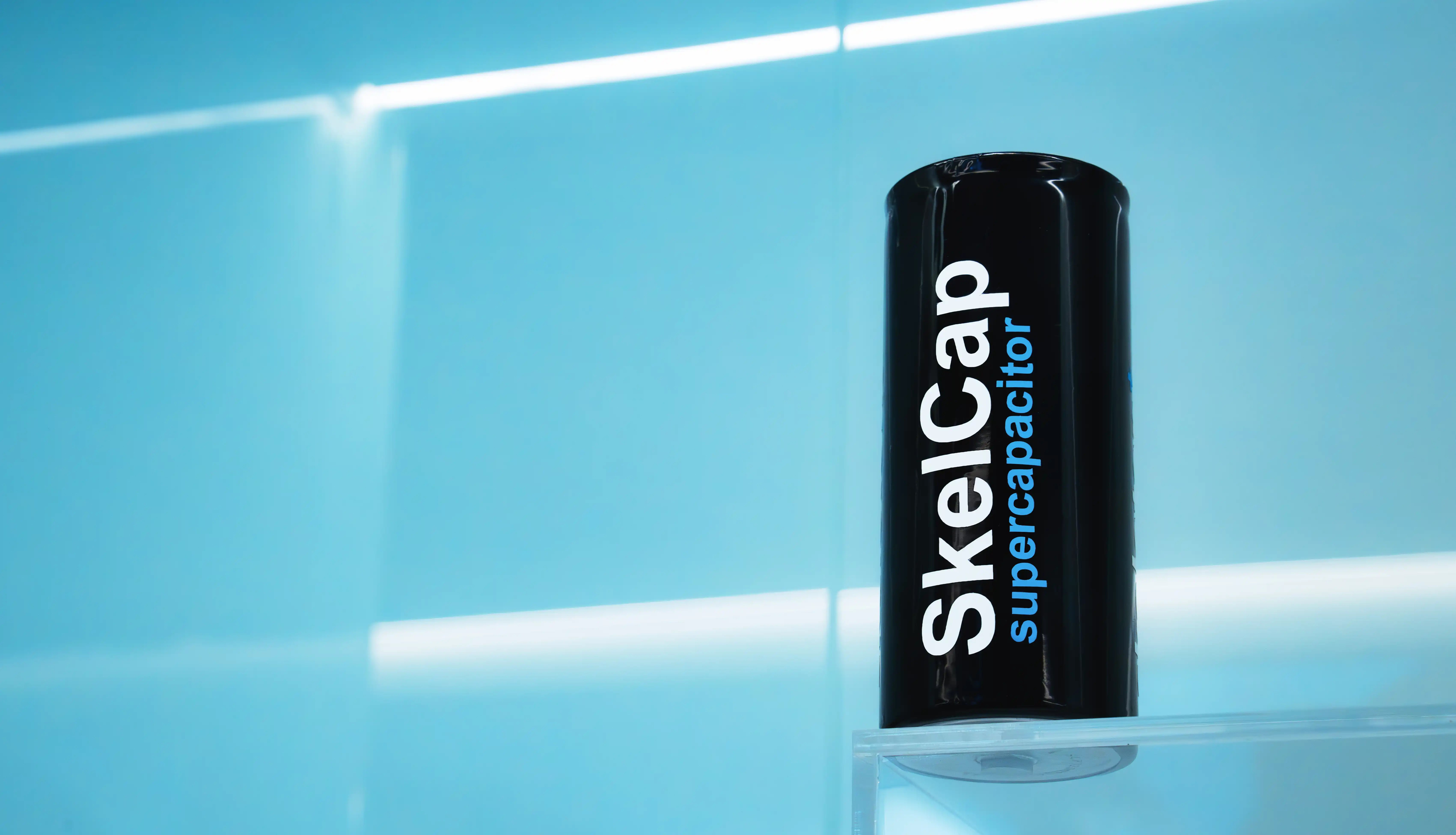 Skeleton SkelCap 3 copy-1